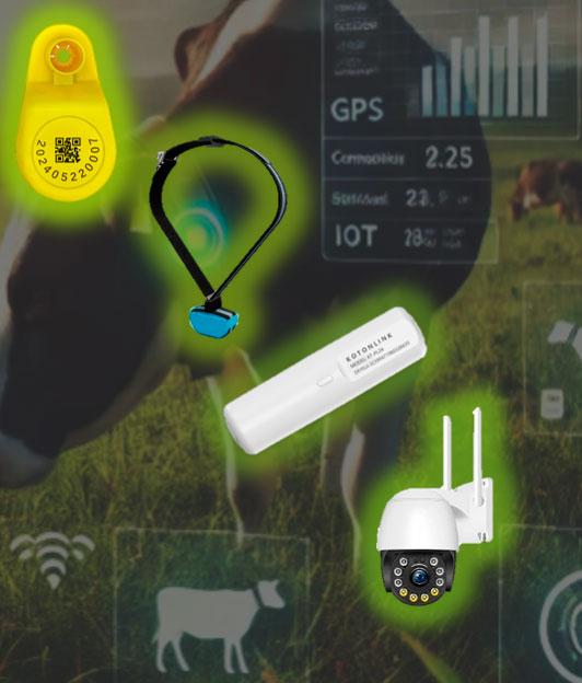 vacaliza-sensores-para-el-ganado